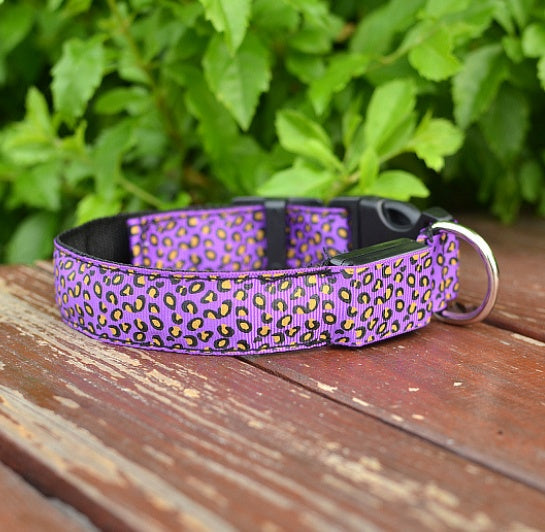 LED Adjustable Safety Dog Collar