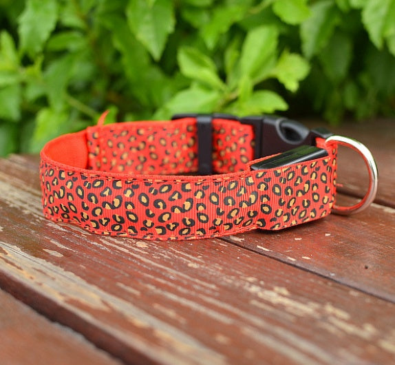 LED Adjustable Safety Dog Collar