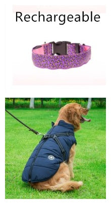 LED Adjustable Safety Dog Collar