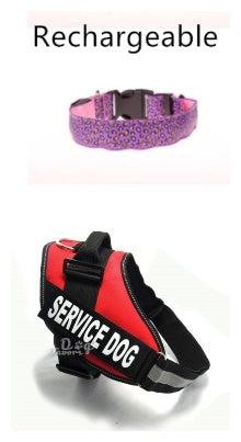 LED Adjustable Safety Dog Collar