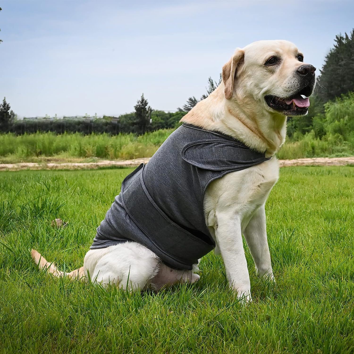 Classic Pet Calming Vest for Everyday Anxiety Relief