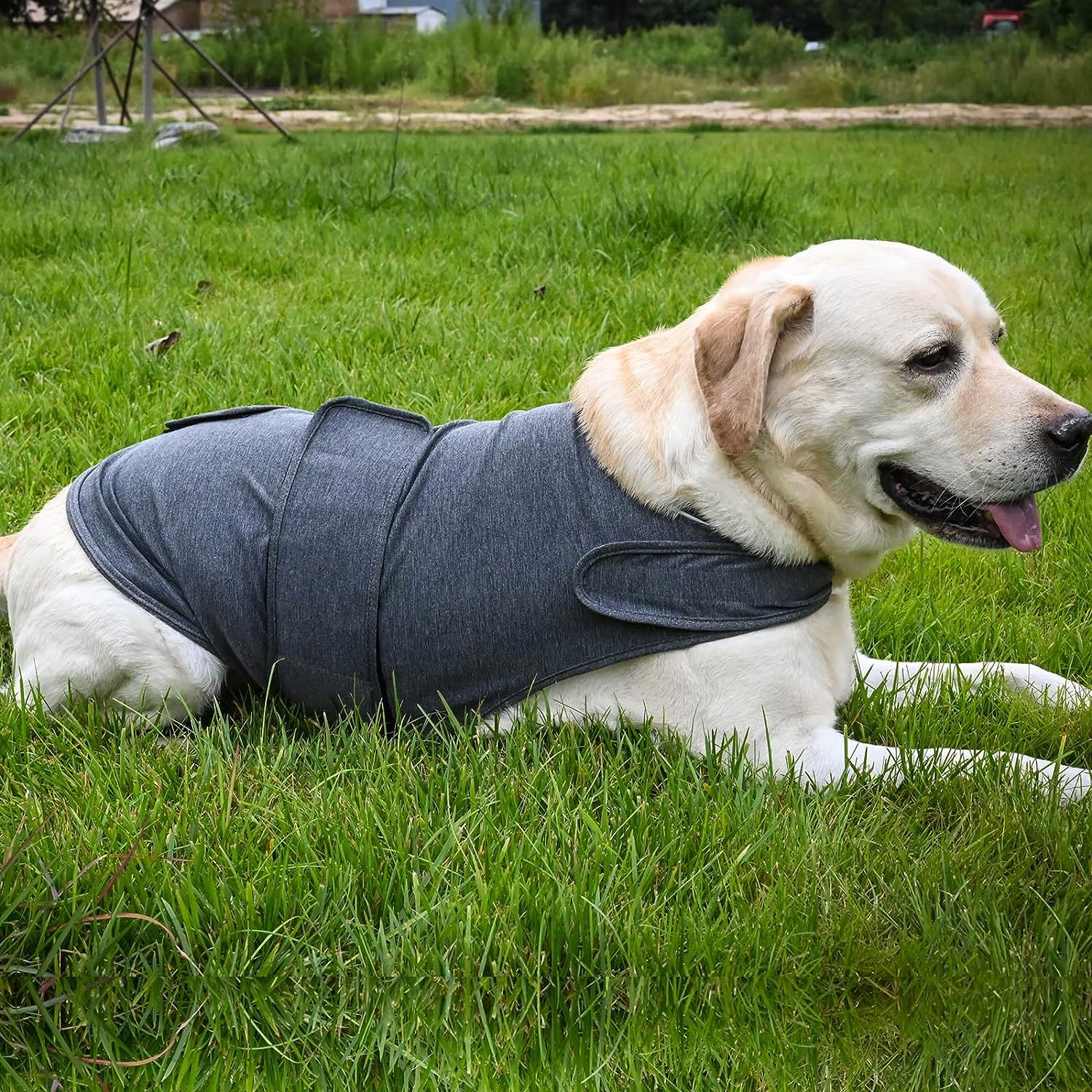 Classic Pet Calming Vest for Everyday Anxiety Relief