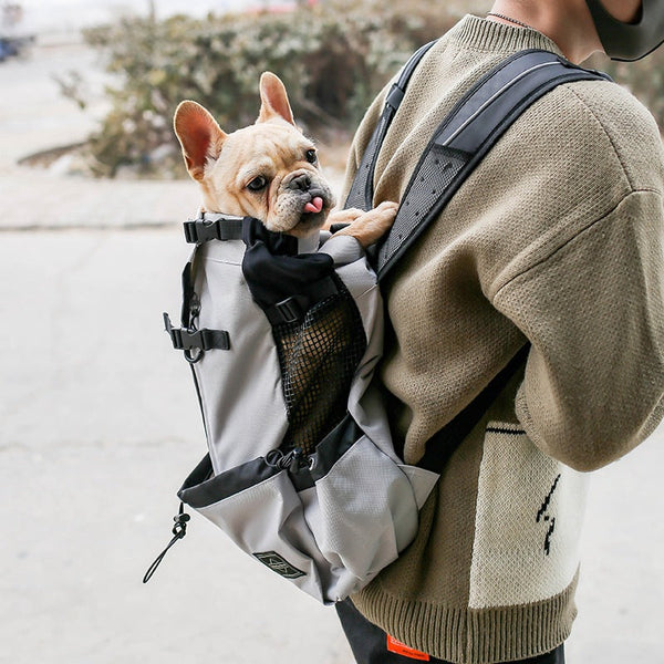 Hands-Free Pet Adventure Pack