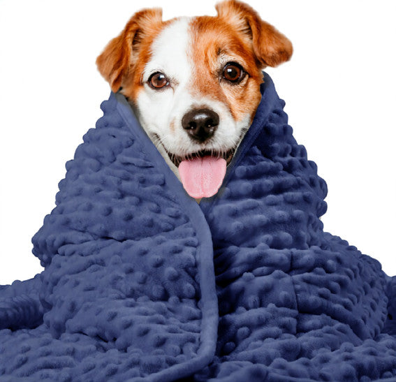 CalmPet Thunder Blanket