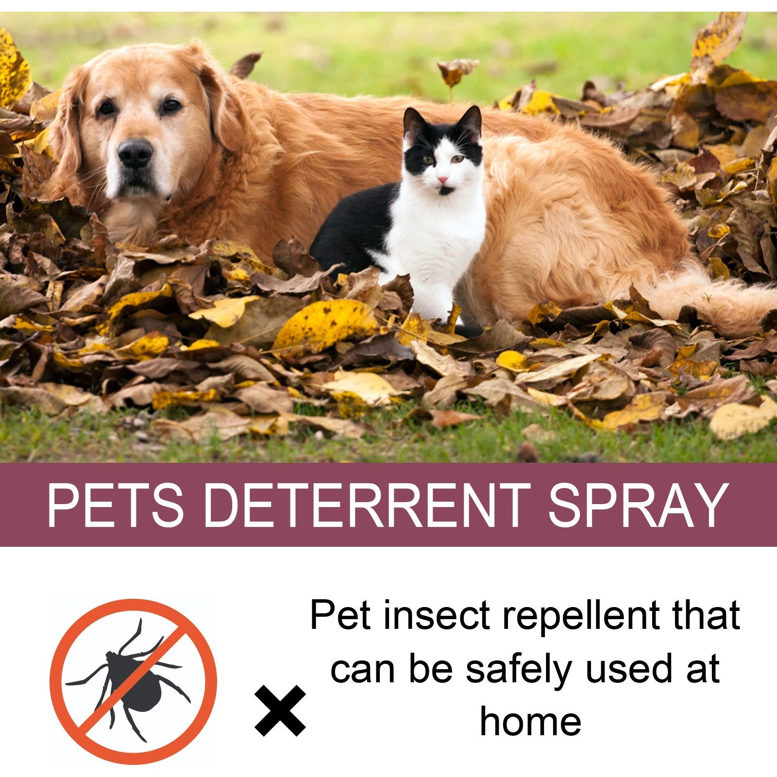 PawShield Active Insect Relief Spray