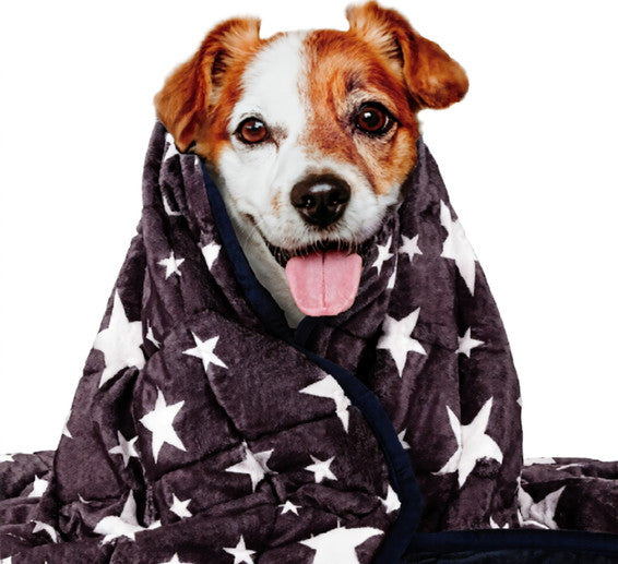 CalmPet Thunder Blanket
