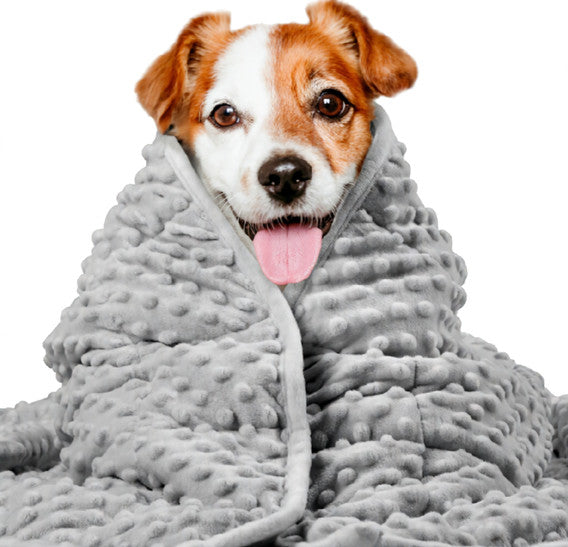 CalmPet Thunder Blanket