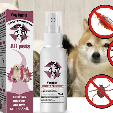 PawShield Active Insect Relief Spray