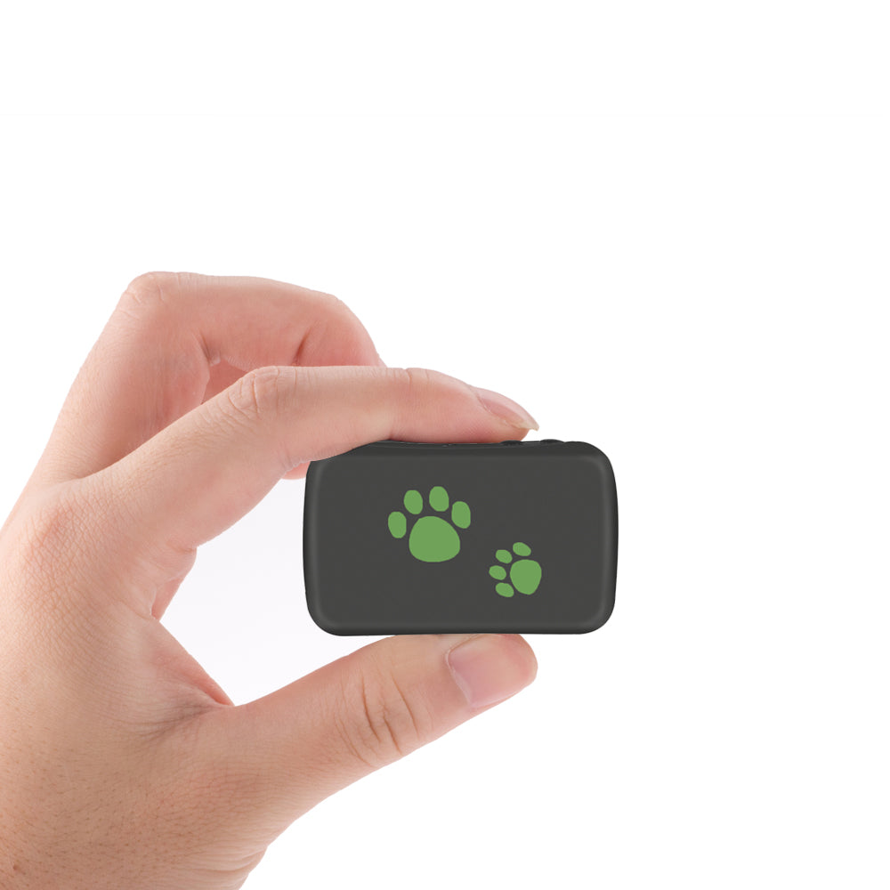 Pet Tracker GPS Buddy