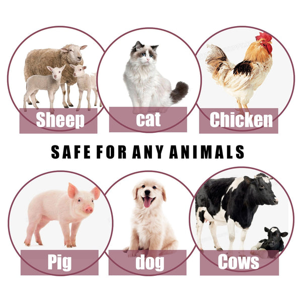 PawShield Active Insect Relief Spray